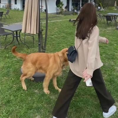 五十公里桃花坞第二季