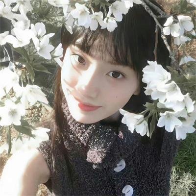 姐妹会的秘密